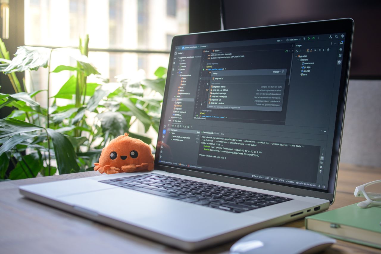 about-me-01 Laptop on desk with IDE open, showing coding environment, next to plush toy and greenery.